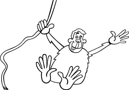 黑猩猩,卡通,插画,上色