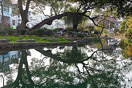 江西婺源,晓起,油菜花,徽派建筑,民居