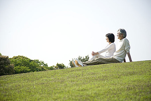 伴侣,放松,草地