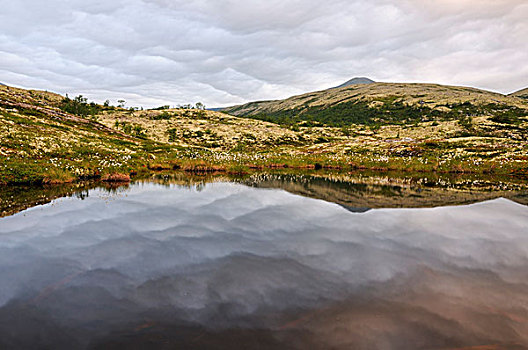 湖,风景,靠近,国家公园,挪威,斯堪的纳维亚,欧洲
