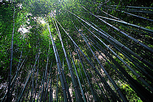 陕西留坝张良庙