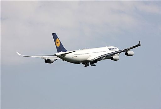 汉莎航空公司,空中客车,a340,一个,三个,飞机,五月,2008年,加拿大,美国,国际机场,北莱茵威斯特伐利亚,德国,欧洲