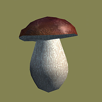 蘑菇,结果