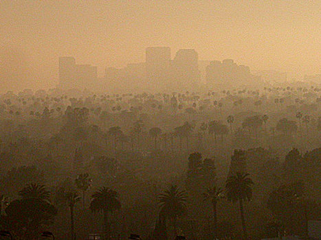 天际线,烟雾,洛杉矶,加利福尼亚,美国
