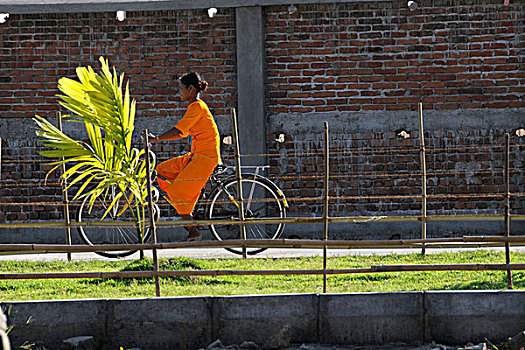 缅甸,仰光,女青年,穿,橙色,服装,骑自行车