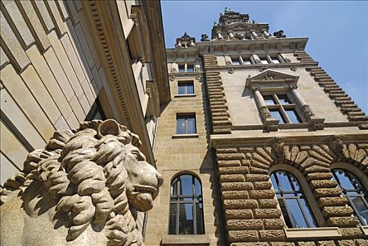 狮子,雕塑,户外,市政厅,汉堡市,德国,欧洲