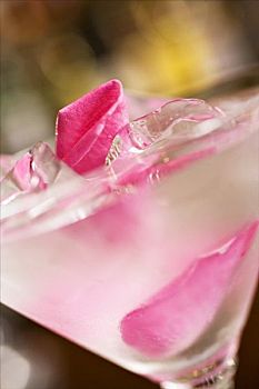 鸡尾酒,粉红玫瑰,花瓣,冰块,特写
