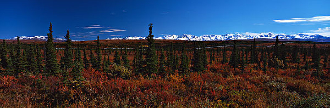 美国,阿拉斯加输油管,秋色,阿拉斯加山脉,山