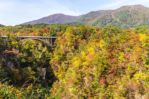 秋色,峡谷,日本