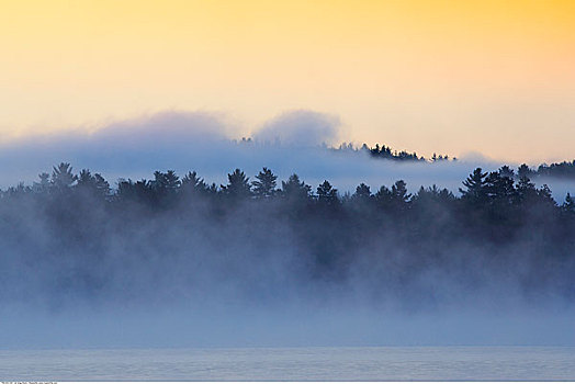 晨雾,上方,安大略省,加拿大