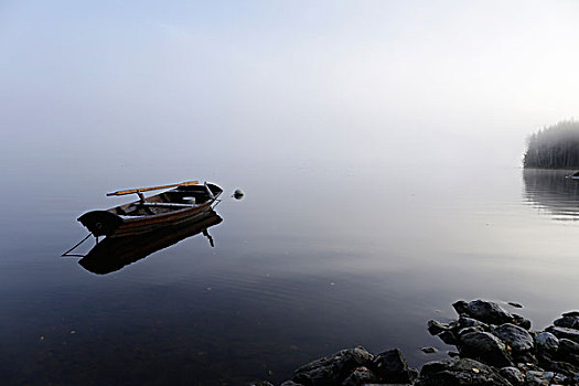 划桨船,湖,雾,瑞典,欧洲