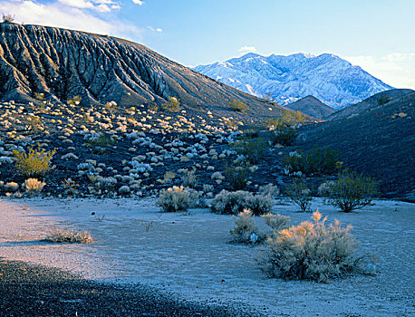 死亡谷国家公园,加利福尼亚,美国,靠近,小,雪,锡,山,远景