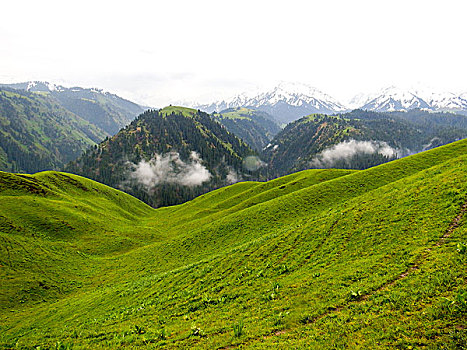 云雾天山