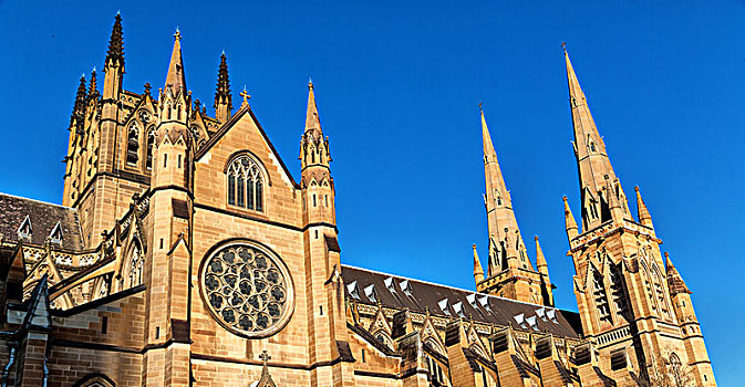 悉尼,老式,建筑,大教堂,教堂