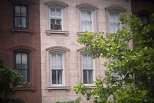两个,褐砂石,公寓楼,树,纽约,美国