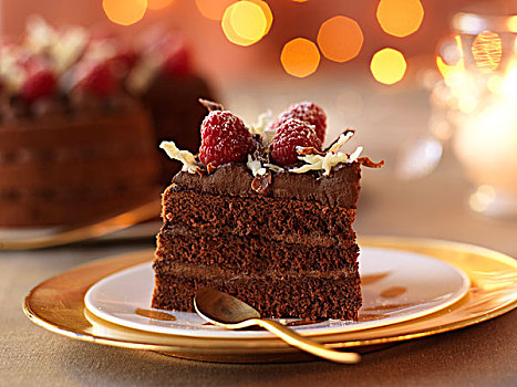 巧克力,圣诞节蛋糕