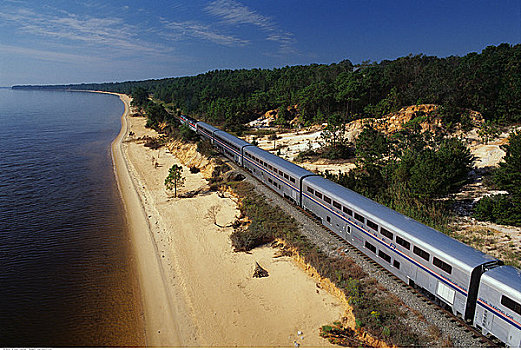 客运列车,海岸线,树,靠近,佛罗里达,美国