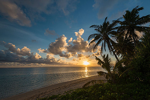 沙滩,棕榈树,日落,拉罗汤加岛,库克群岛,大洋洲