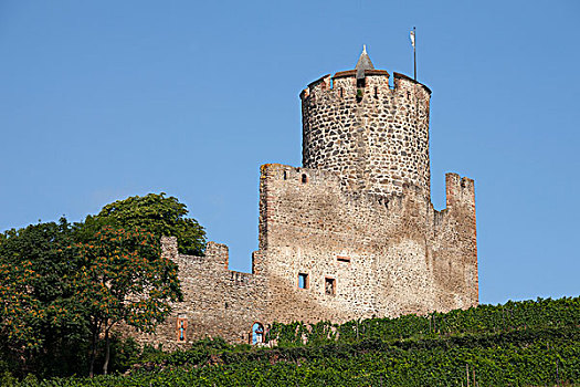 城堡,遗址,凯瑟斯堡,阿尔萨斯,法国,欧洲