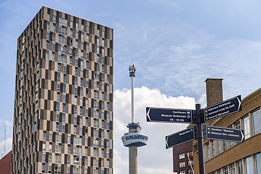 荷兰鹿特丹高楼建筑路标欧洲之跪