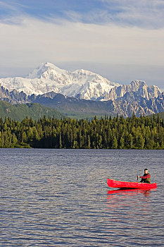 男人,独木舟,湖,德纳里峰,背景,阿拉斯加,夏天