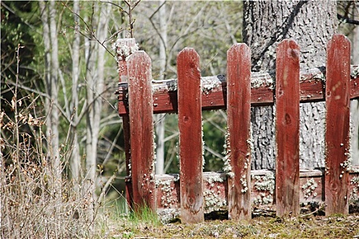 特色,老,红色,木篱,瑞典