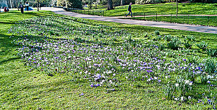 春天,蜿蜒,海德公园,伦敦