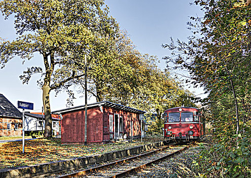 铁路,行列,停止,列车,建筑,树,勃兰登堡,德国