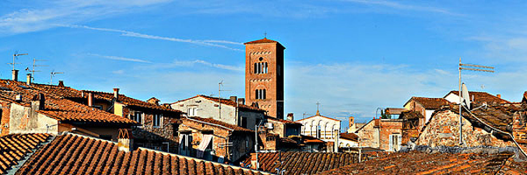 塔,教会,屋顶,古建筑,全景,风景,卢卡,意大利