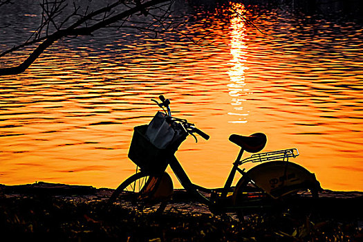 西湖黄昏自行车