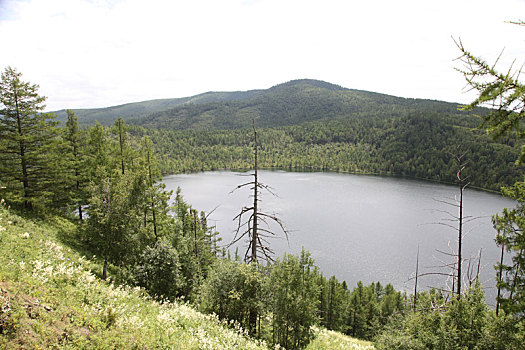 内蒙古阿尔山,驼峰岭天池,移步换景,一步一景