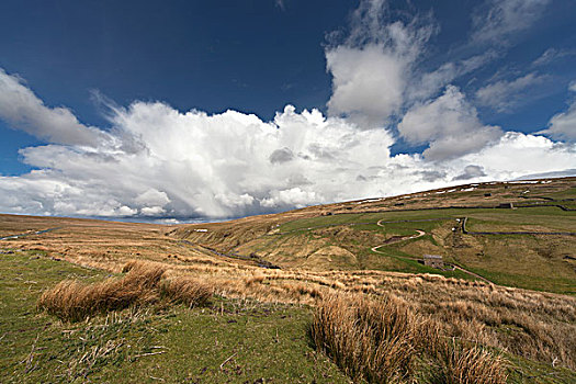 草地,群山,英格兰