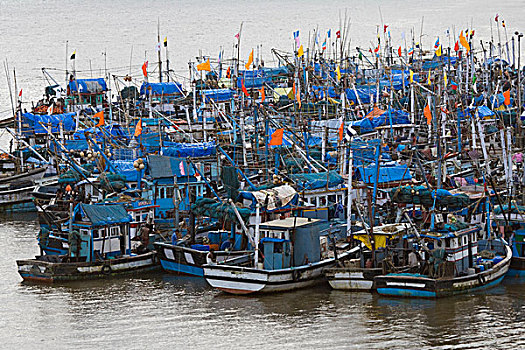 渔船,停泊,果阿,印度