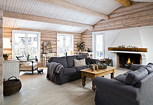 灰色,相配,沙发,客厅,哥本哈根,家,丹麦