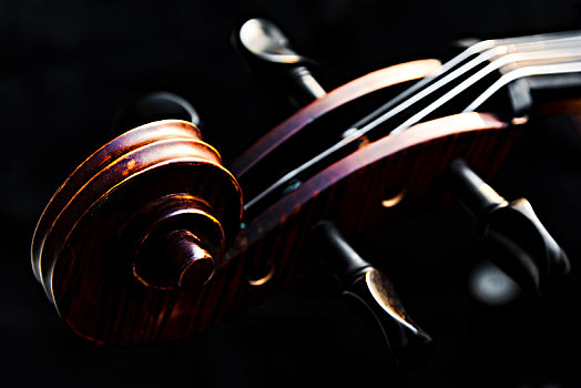 西洋乐器大提琴的琴头,弦轴