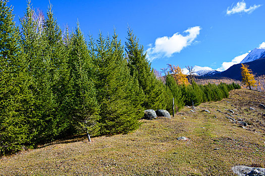 西北第一村白哈巴村秋日盛景