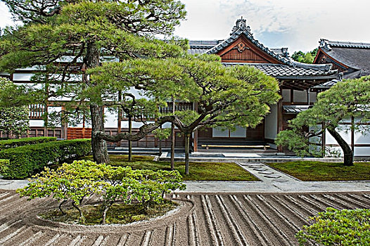 日本,植物,建筑,日式庭园,东京