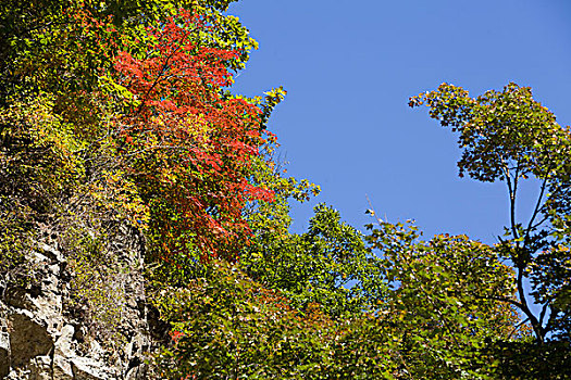 本溪,大石湖,景区,旅游,山坡,峡谷,山谷,植被,自然,风光,秋季,红叶,色彩,艳丽,湖水