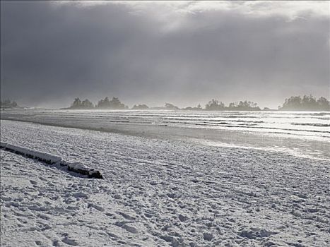 长滩,冬天,温哥华岛,不列颠哥伦比亚省,加拿大