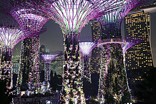 新加坡,花园,湾,夜晚