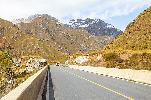 深秋,新疆独库公路库车河谷路段的弯道边长满了金色的山杨树,一辆汽车正从远处的雪山下驶来