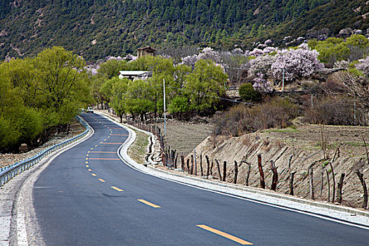 西藏山南公路