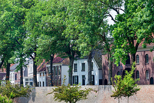 街道,老城墙,荷兰