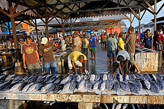 鱼,销售,鱼市,岛屿,伊里安查亚省,印度尼西亚,东南亚,亚洲