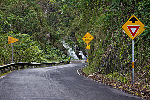 狭窄,弯曲,公路,许多,瀑布,途中,毛伊岛,夏威夷