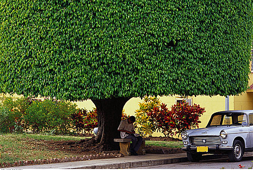 树下,圣地亚哥,古巴