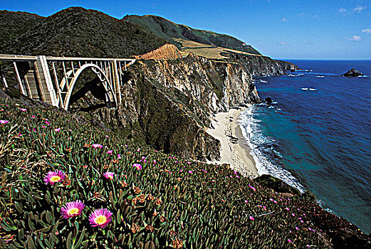 美国,加利福尼亚,大,岩石,海岸线,海洋,无花果,花,溪流,桥