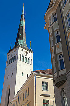 教堂,老城,塔林,爱沙尼亚