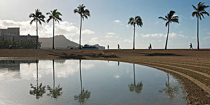 反射,棕榈树,泻湖,怀基基海滩,檀香山,瓦胡岛,夏威夷,美国