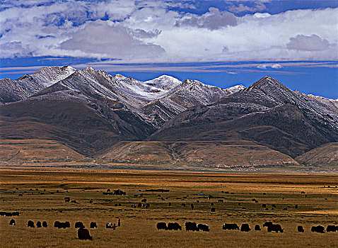 西藏念青唐古拉山脉